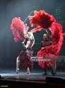 The_Lindsey_Stirling_Christmas_Program_Winter_Tour_2819929.jpg